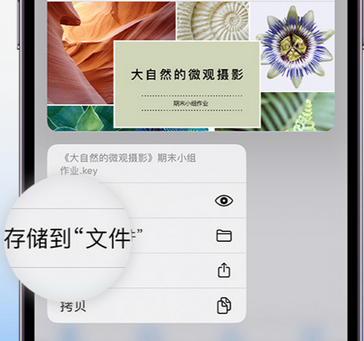 吉县apple维修中心分享iPhone文件应用中存储和找到下载文件