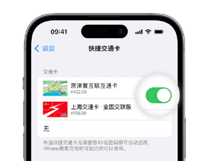 吉县apple维修点分享iPhone上更换Apple Pay快捷交通卡手绘卡面 