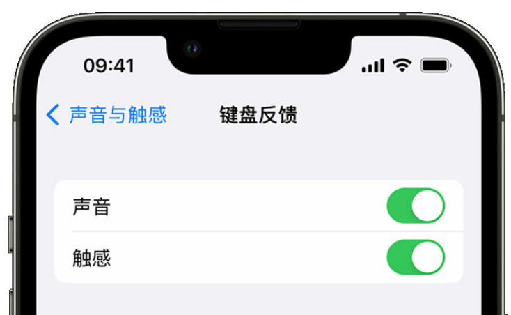 吉县苹果手机维修分享iPhone 14触感键盘使用方法 