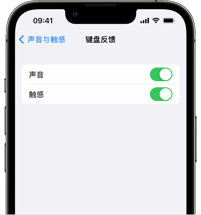 吉县苹果14维修店分享如何在 iPhone 14 机型中使用触感键盘 