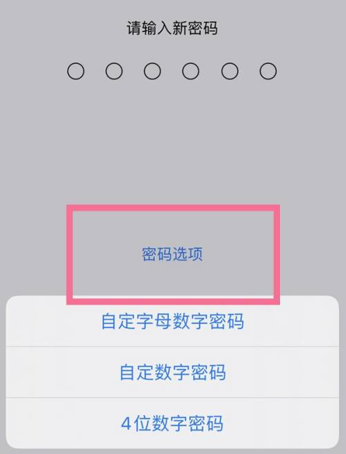 吉县苹果14维修分享iPhone 14plus设置密码的方法 