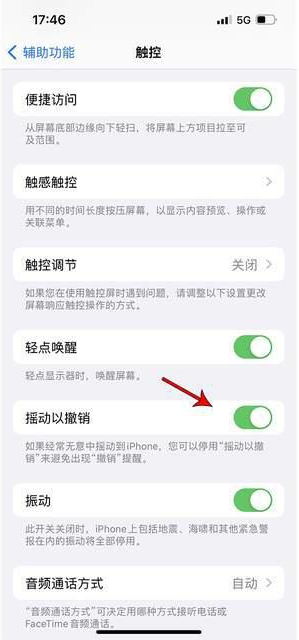 吉县苹果手机维修分享iPhone手机如何设置摇一摇删除文字 